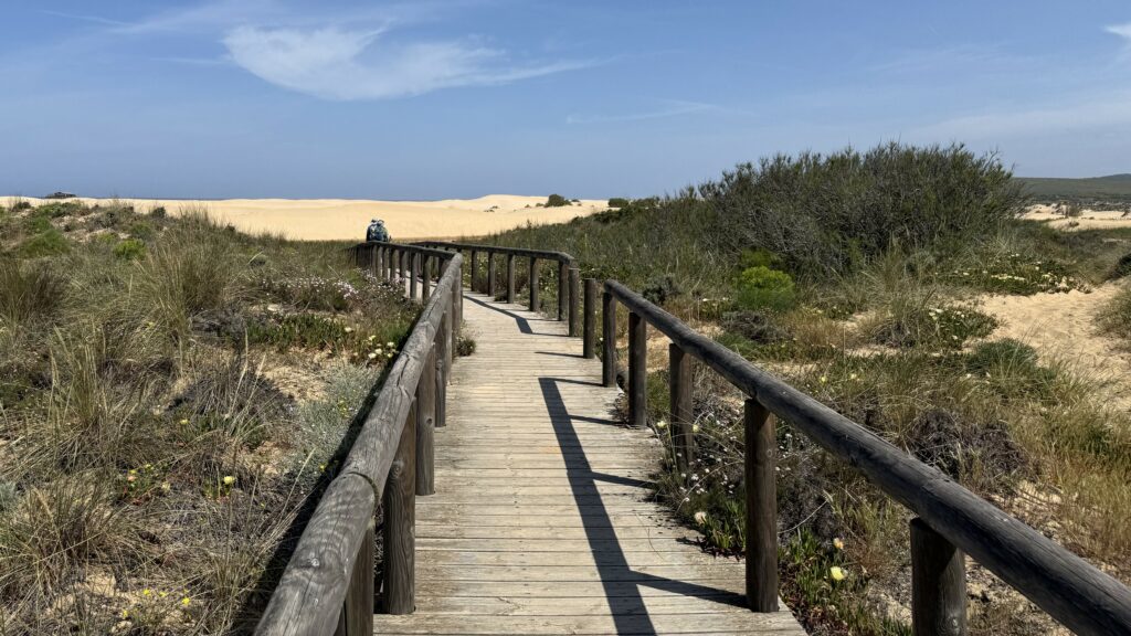 Passerelle en bois sur le Fishermen's Trail près de Bordeira — randonnée Rota Vicentina