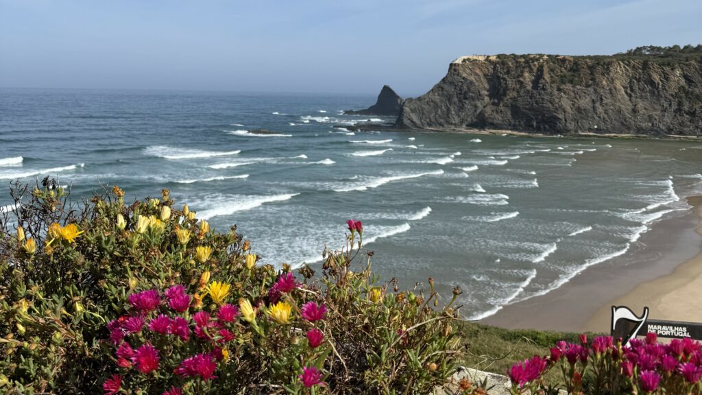 Randonneuse au printemps sur le Fishermen's Trail — fleurs sauvages et falaises côte vicentine Algarve


