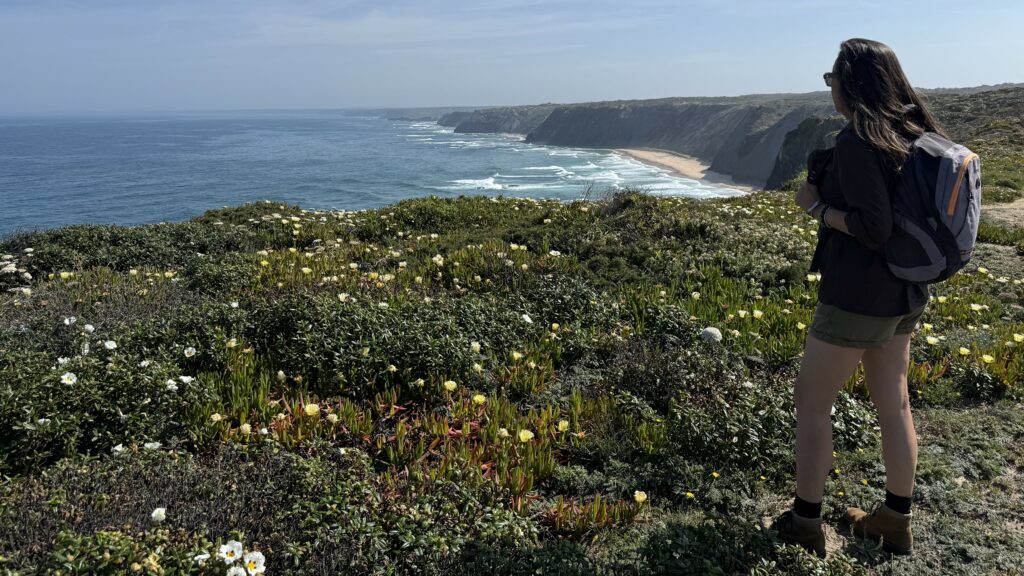 Hiking Fishermen's Trail wildflowers Atlantic coast southwest Portugal